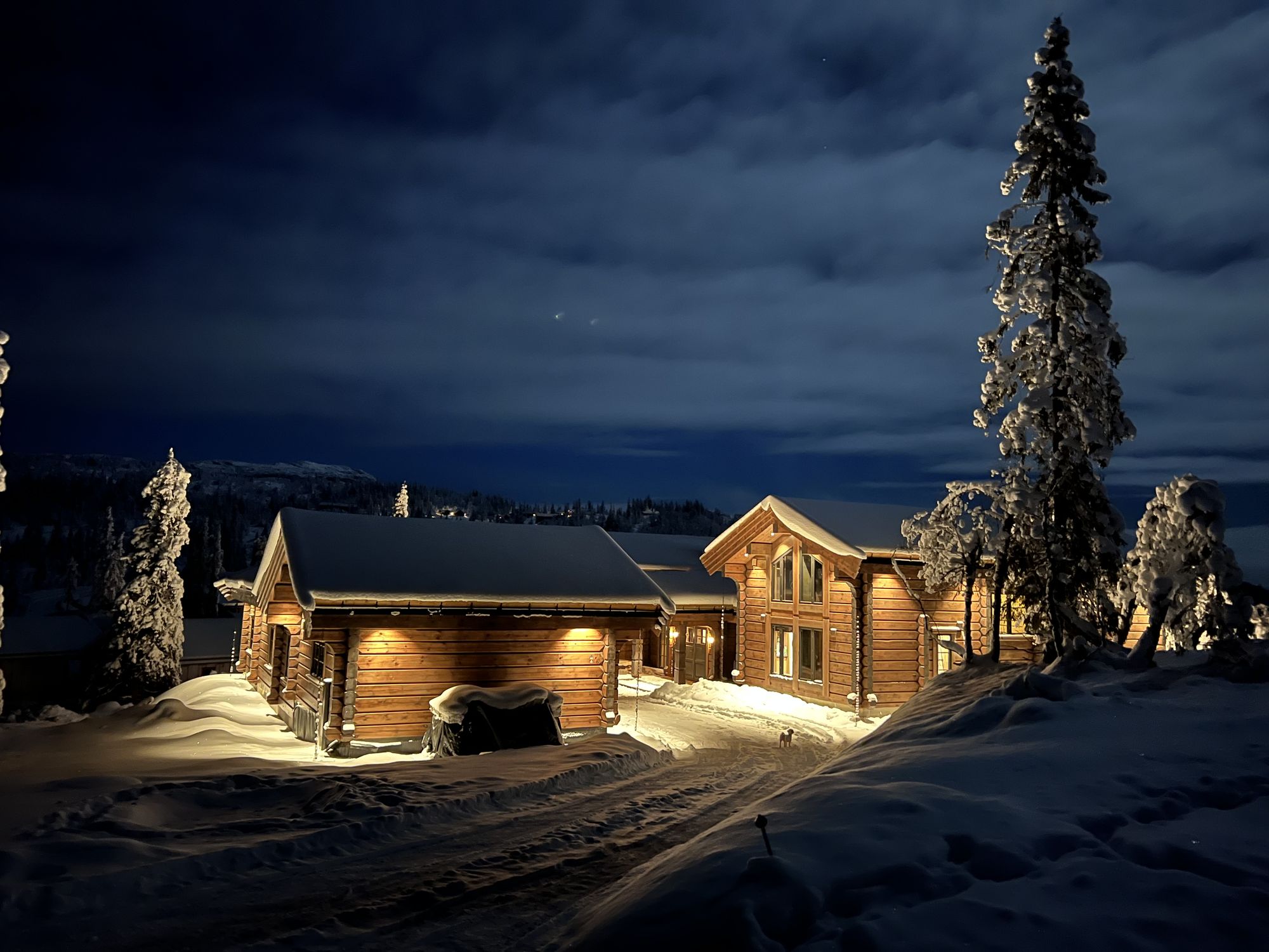 Hytte Kvitfjell